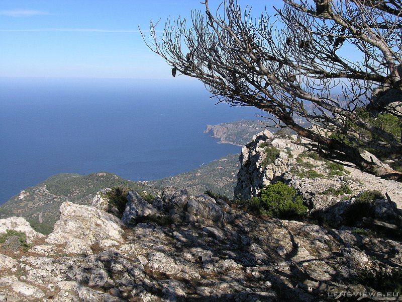 2006_11_23 13_07_31 OLYMPUS DIGITAL CAMERA         